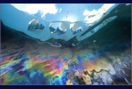 Pearl Harbor fuel leak Pearl Harbor fuel leak